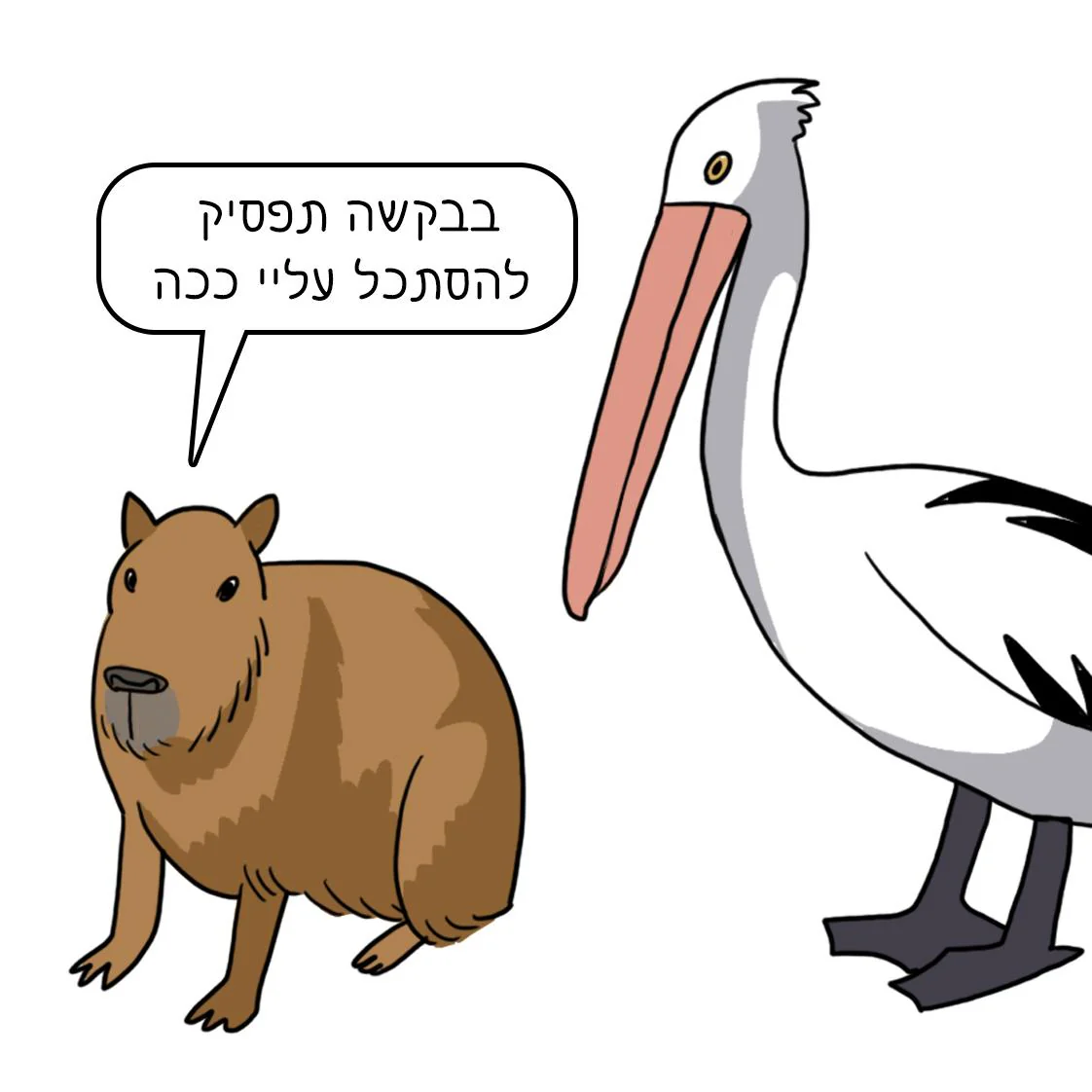 תמונת מוצר 1
