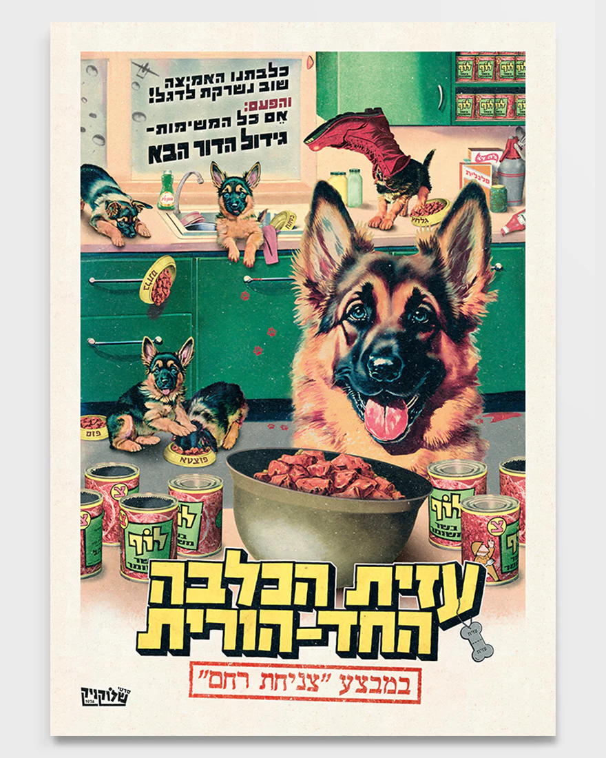 תמונת מוצר 1